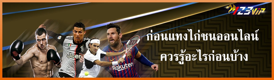 ก่อนแทงไก่ชนออนไลน์ ควรรู้อะไรก่อนบ้าง
